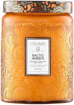 Voluspa Goji Tarocco Orange, Large Candle Jar, 18 oz, 100 Hour Burn Time, All Natural Wicks and Coconut Wax for Clean Burning, Vegan, Poured in the USA