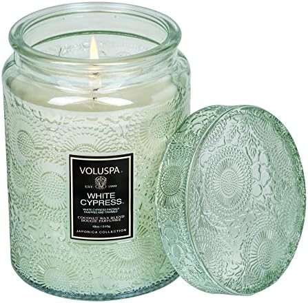 Voluspa Goji Tarocco Orange, Large Candle Jar, 18 oz, 100 Hour Burn Time, All Natural Wicks and Coconut Wax for Clean Burning, Vegan, Poured in the USA