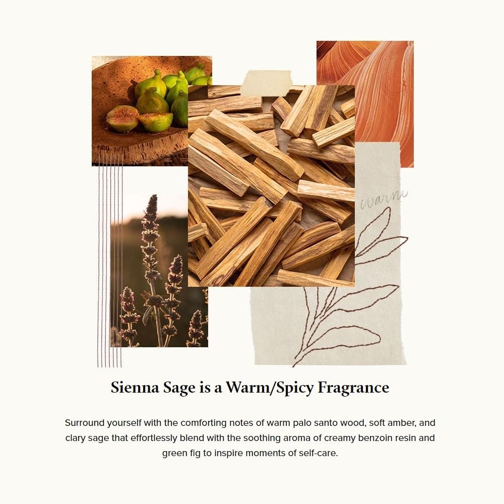 Thymes Frasier Fir Reed Diffuser Oil Refill – Home Fragrance Oil for Diffuser – Holiday Reed Diffuser Refill – Just-Cut Forest Oil Scents for Diffuser – Aromatherapy Diffuser Oils Scents (7.75 fl oz)