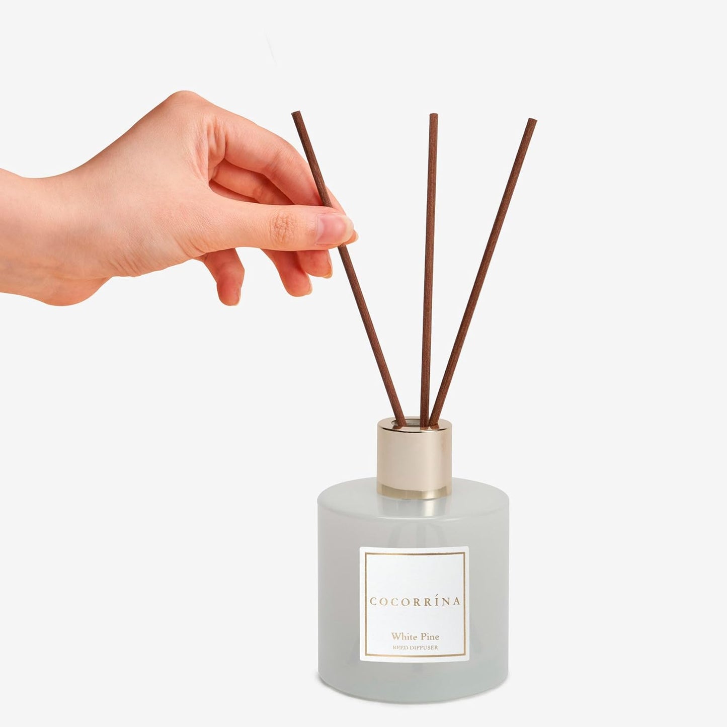 COCORRÍNA Reed Diffuser Set, Clean Linen Scented Diffuser with Sticks Home Fragrance Reed Diffuser for Bathroom Shelf Decor