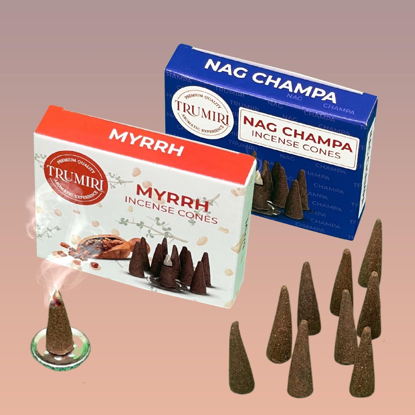 Incense Cones Combo Pack - 10 Cedar 10 Pine Scented Cones