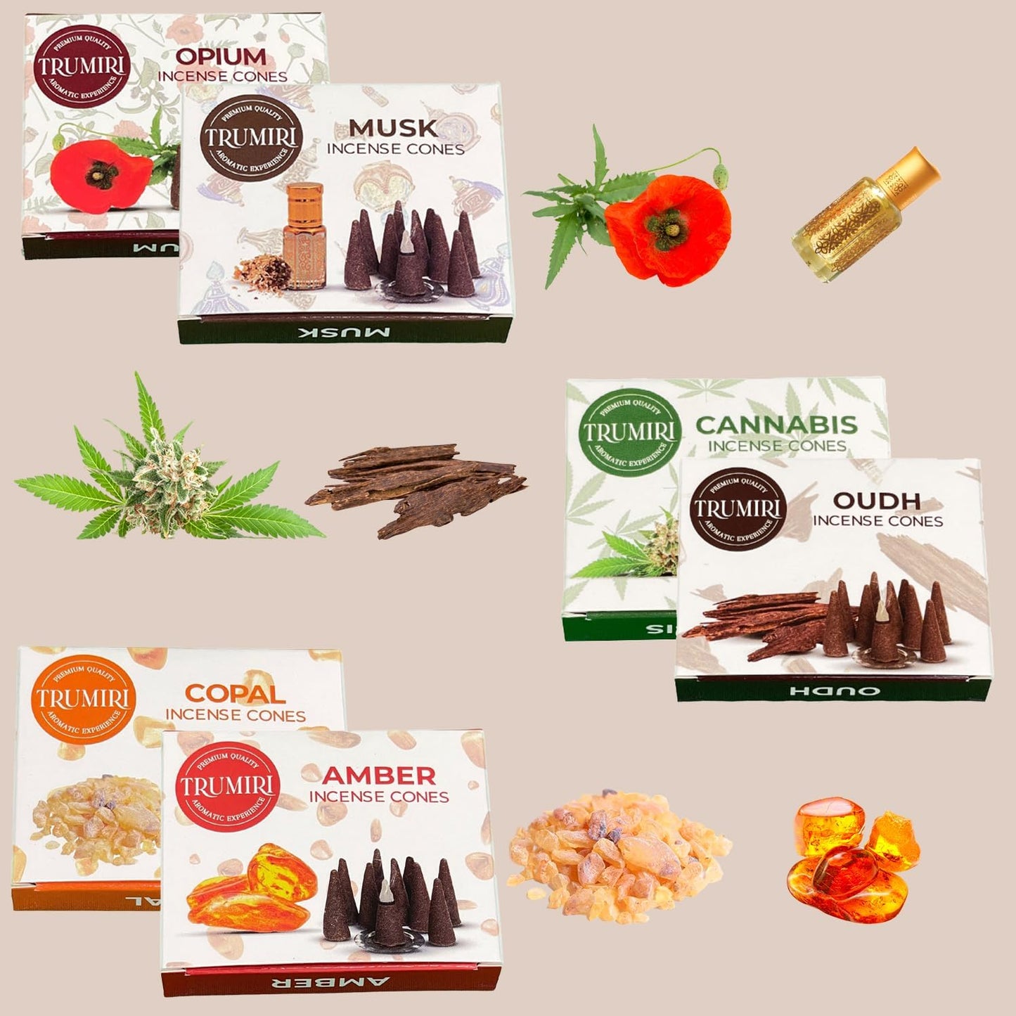 Trumiri Woody Incense Cones - Variety Pack - Total 60 Cone Incense (6 Scents x 10 Conos) - White Sage, Palo Santo, Dragons Blood, Sandalwood - Inscents-Cones Scented - Insense Cones - Incent Cone