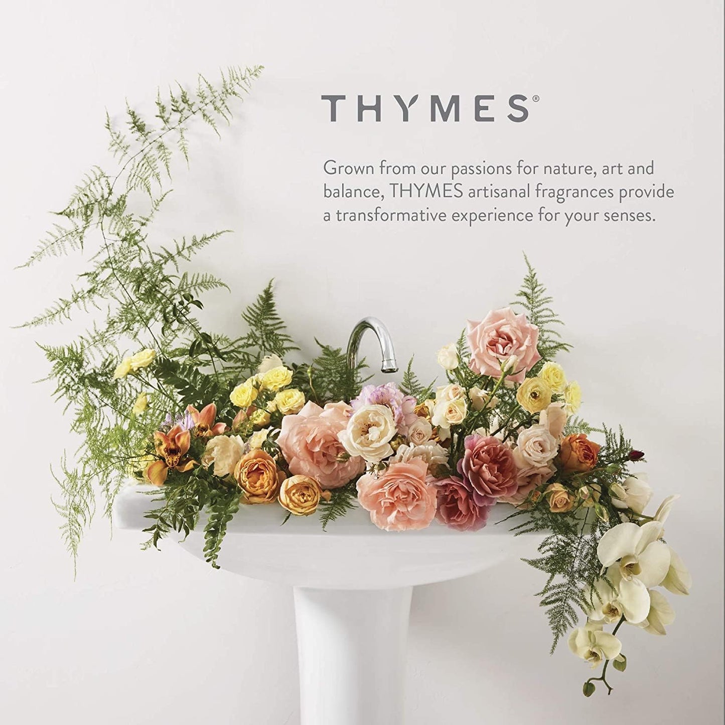 Thymes Frasier Fir Reed Diffuser Oil Refill – Home Fragrance Oil for Diffuser – Holiday Reed Diffuser Refill – Just-Cut Forest Oil Scents for Diffuser – Aromatherapy Diffuser Oils Scents (7.75 fl oz)