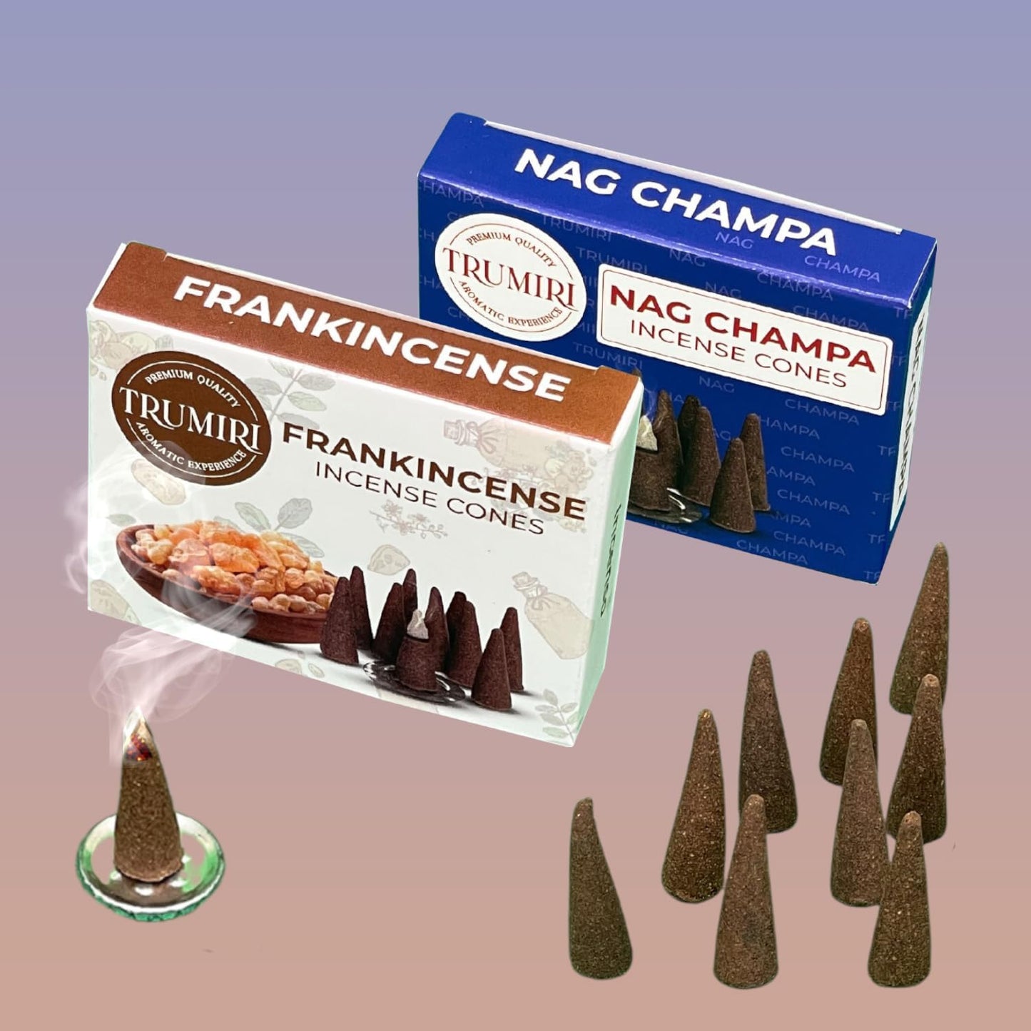 Incense Cones Combo Pack - 10 Cedar 10 Pine Scented Cones