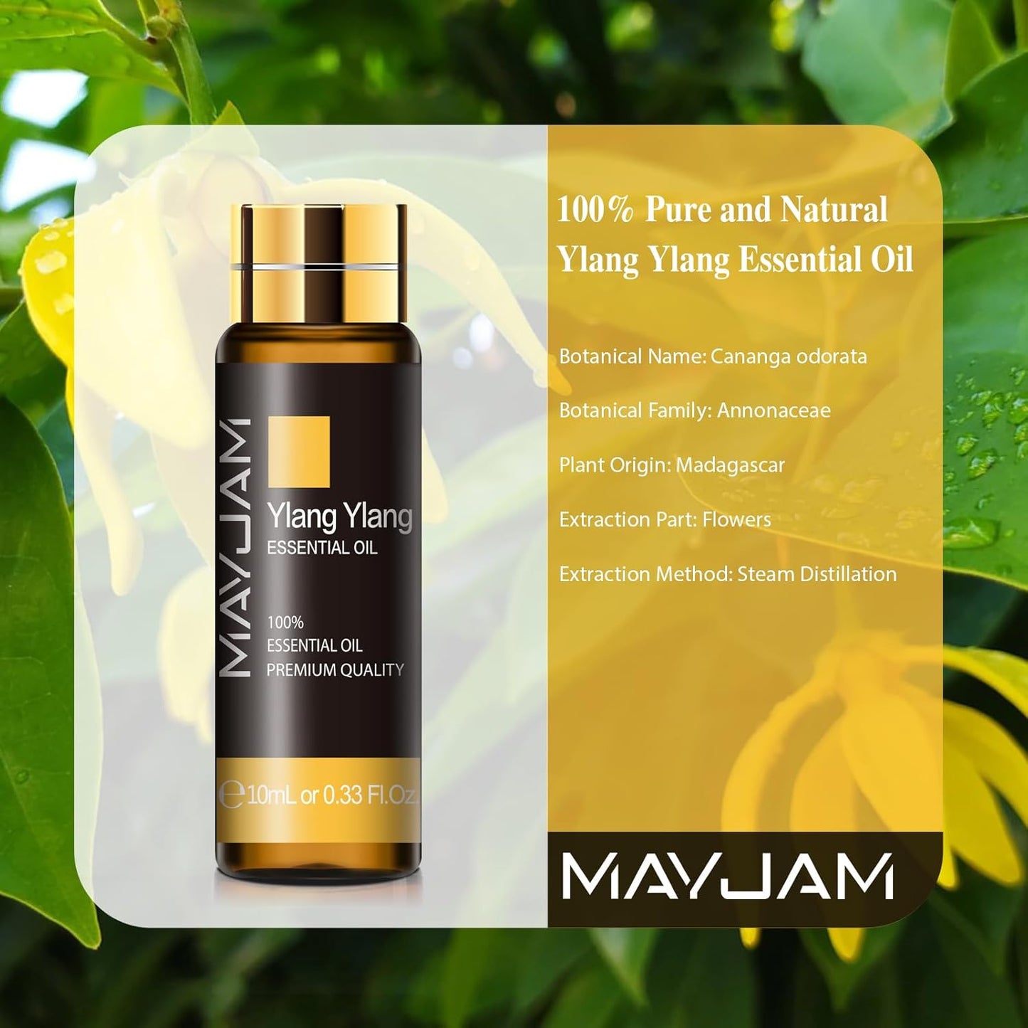 MAYJAM Essential Oil for Diffusers, Essential Oil with Premium Glass Dropper