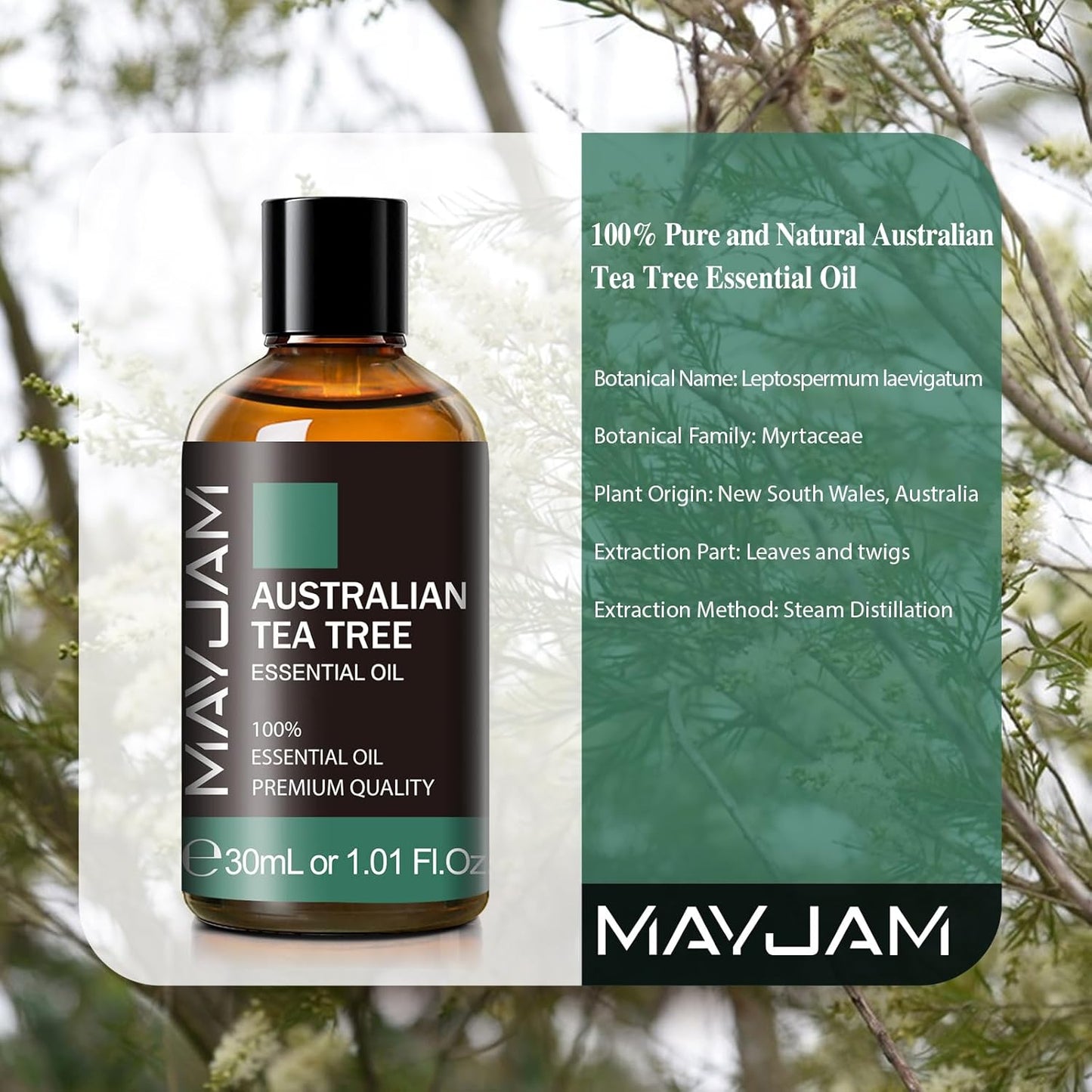 MAYJAM Essential Oil for Diffusers, Essential Oil with Premium Glass Dropper