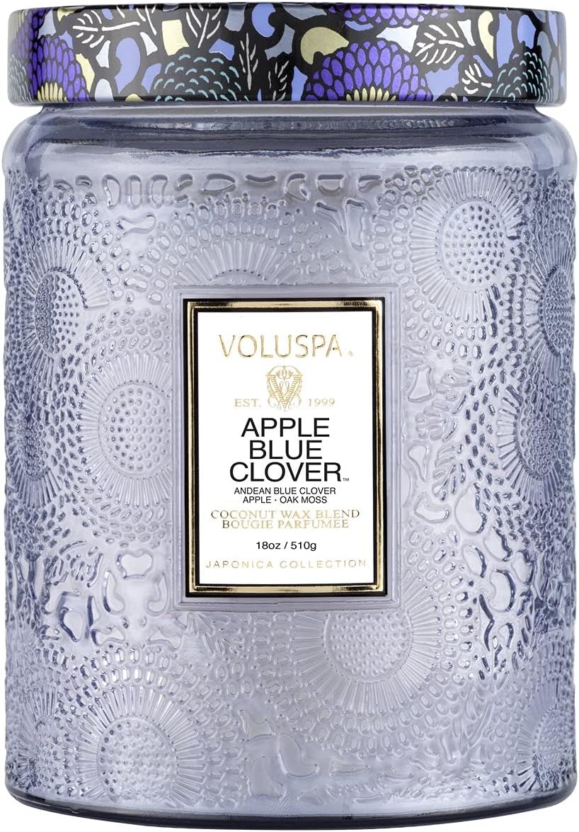 Voluspa Goji Tarocco Orange, Large Candle Jar, 18 oz, 100 Hour Burn Time, All Natural Wicks and Coconut Wax for Clean Burning, Vegan, Poured in the USA
