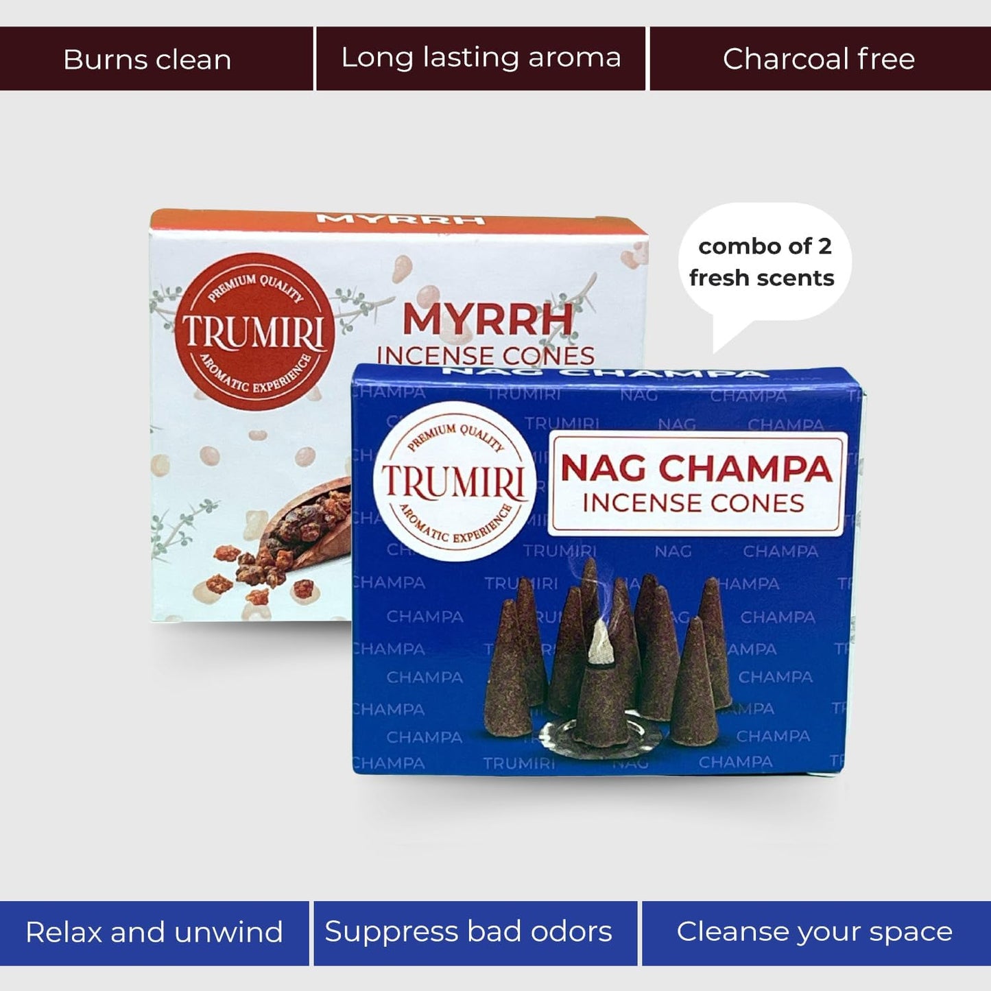 Incense Cones Combo Pack - 10 Cedar 10 Pine Scented Cones