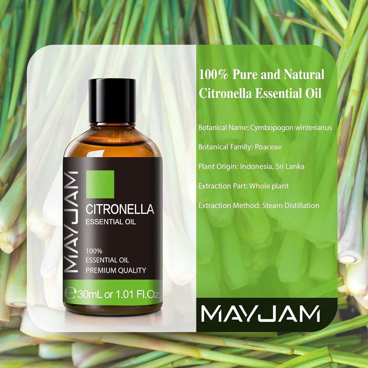 MAYJAM Essential Oil for Diffusers, Essential Oil with Premium Glass Dropper