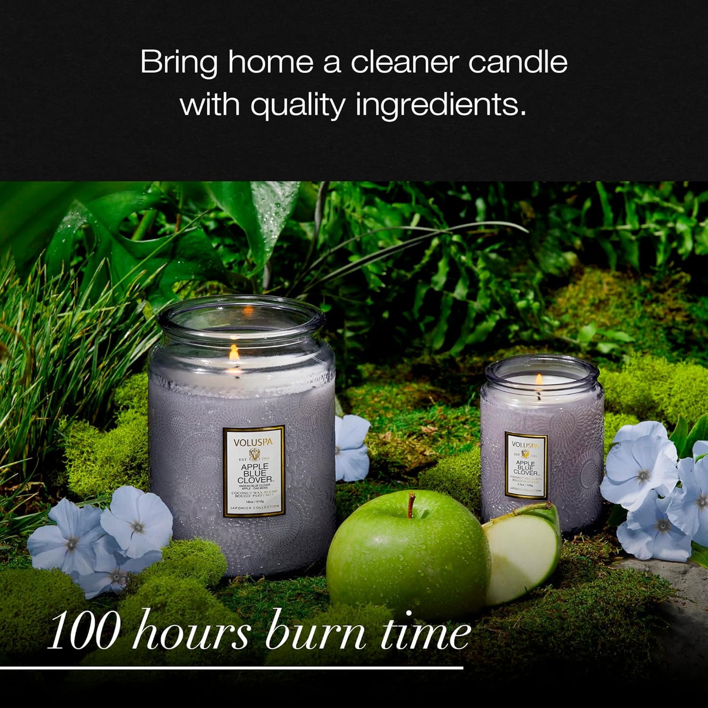 Voluspa Goji Tarocco Orange, Large Candle Jar, 18 oz, 100 Hour Burn Time, All Natural Wicks and Coconut Wax for Clean Burning, Vegan, Poured in the USA