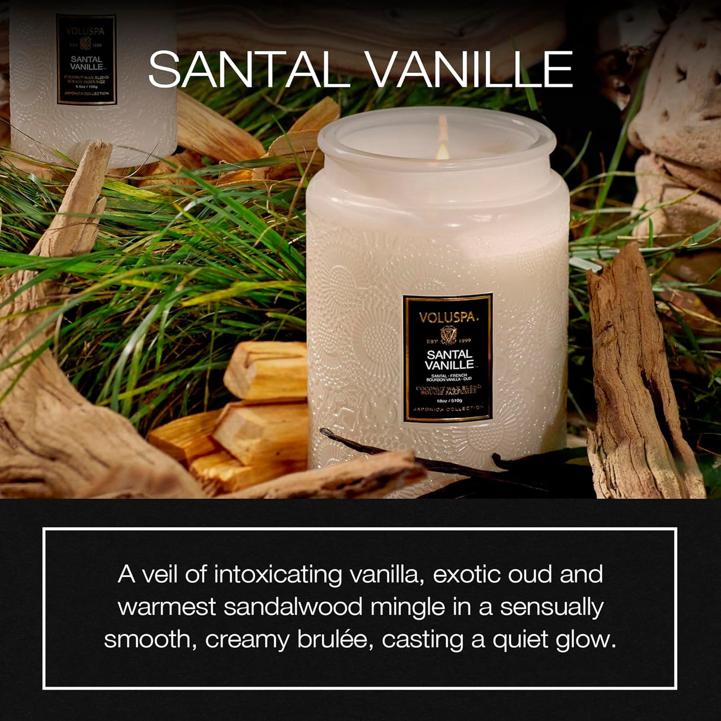 Voluspa Goji Tarocco Orange, Large Candle Jar, 18 oz, 100 Hour Burn Time, All Natural Wicks and Coconut Wax for Clean Burning, Vegan, Poured in the USA