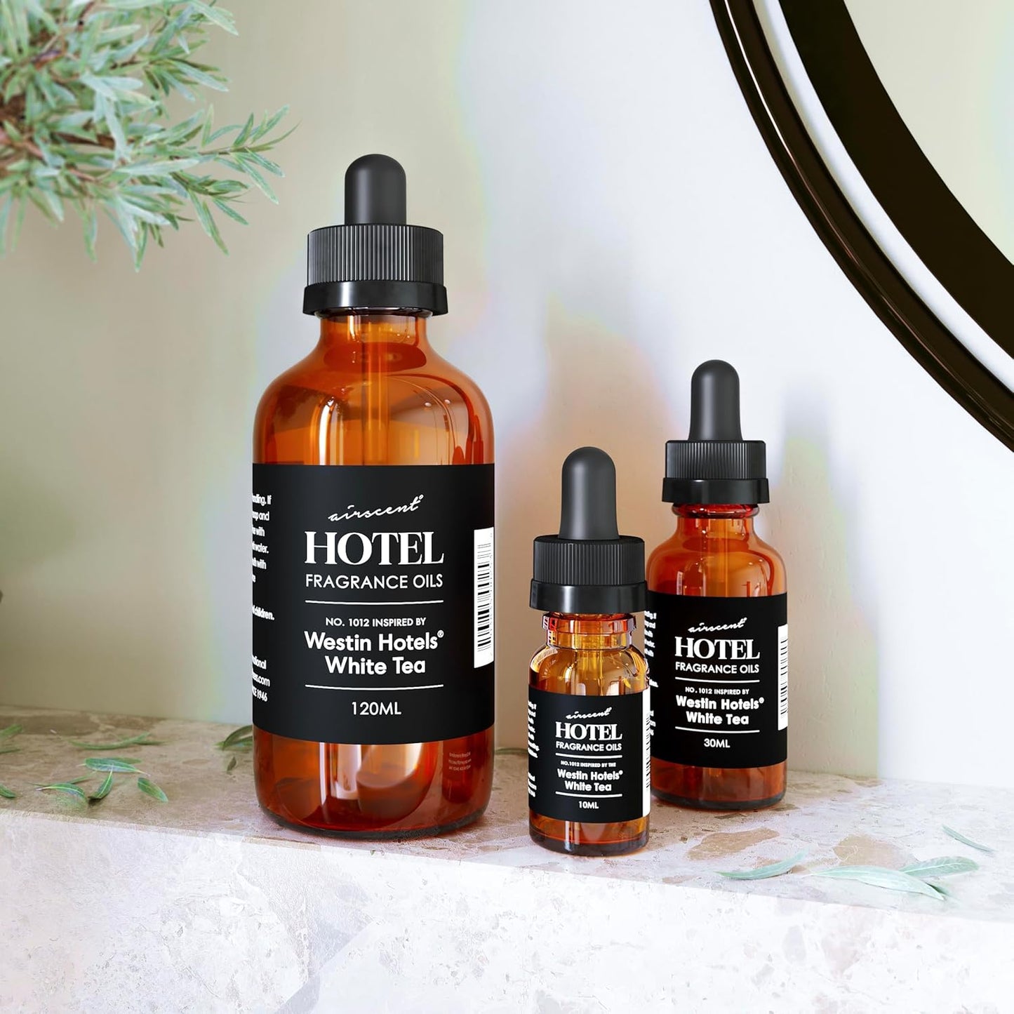 Hotel Diffuser Oil Inspired by Westin White Tea - No. 1012 - AirScent Essential Oil Blend - Fragrance Oil Dropper Bottle for Aromatherapy Diffusers and Humidifiers - Hotel Scents