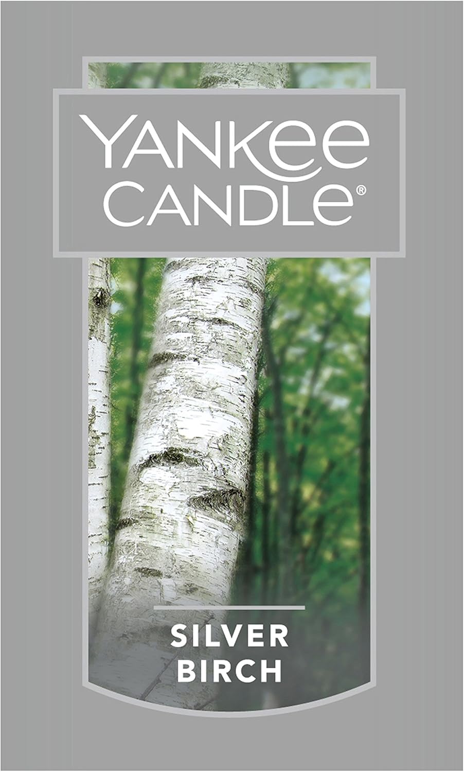 Yankee Candle | Silver Birch Scented, Classic 22oz Large Jar Single Wick Aromatherapy Candle, Over 110 Hours of Burn Time, Autumn Candle Scented for Home