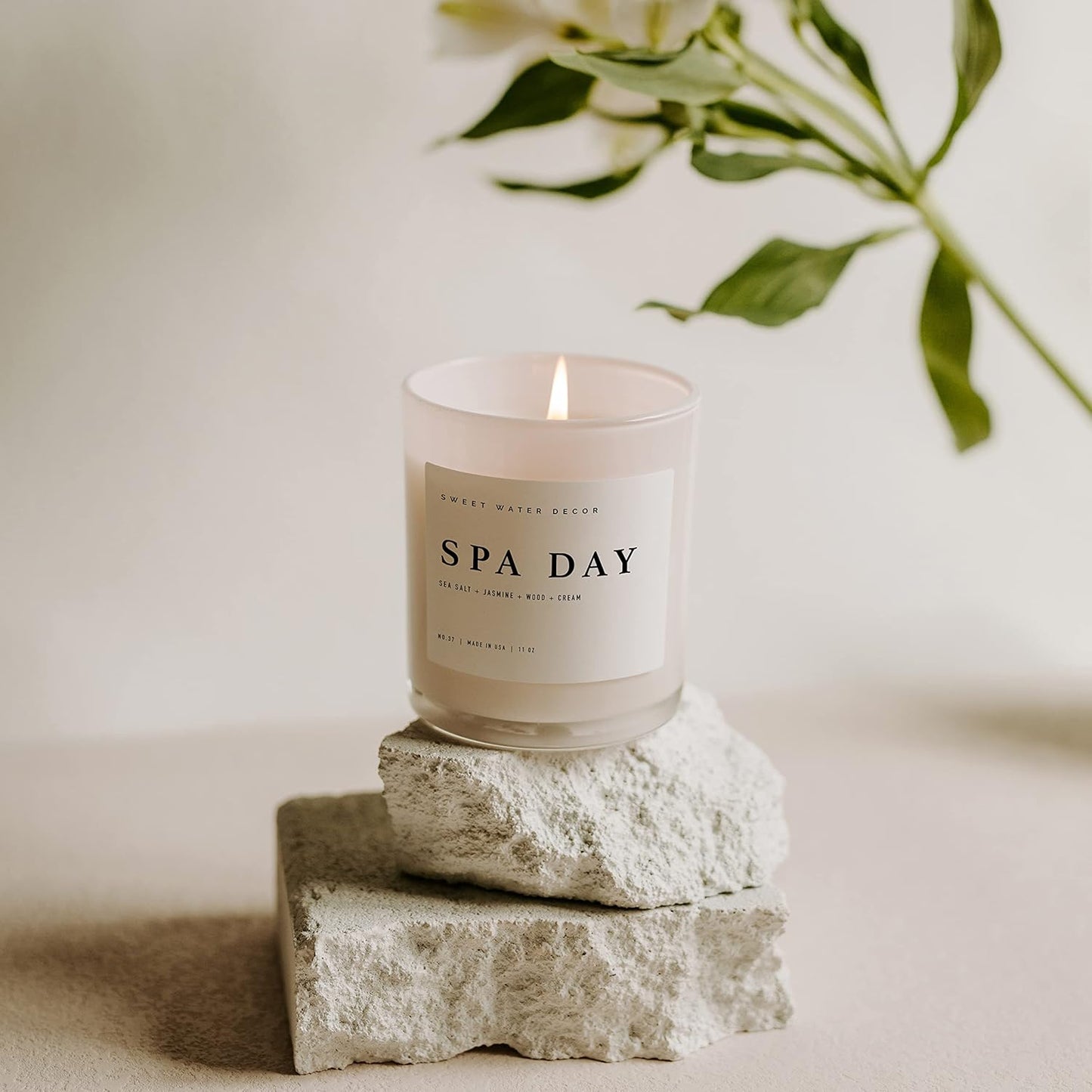 Sweet Water Decor Salt and Sea Candle - Sea Salt, Citrus, Amber, Musk, Beach Scented Soy Candles for Home - 11oz White Glass Jar Wood Lid, 50 Hour Burn Time, Made in the USA
