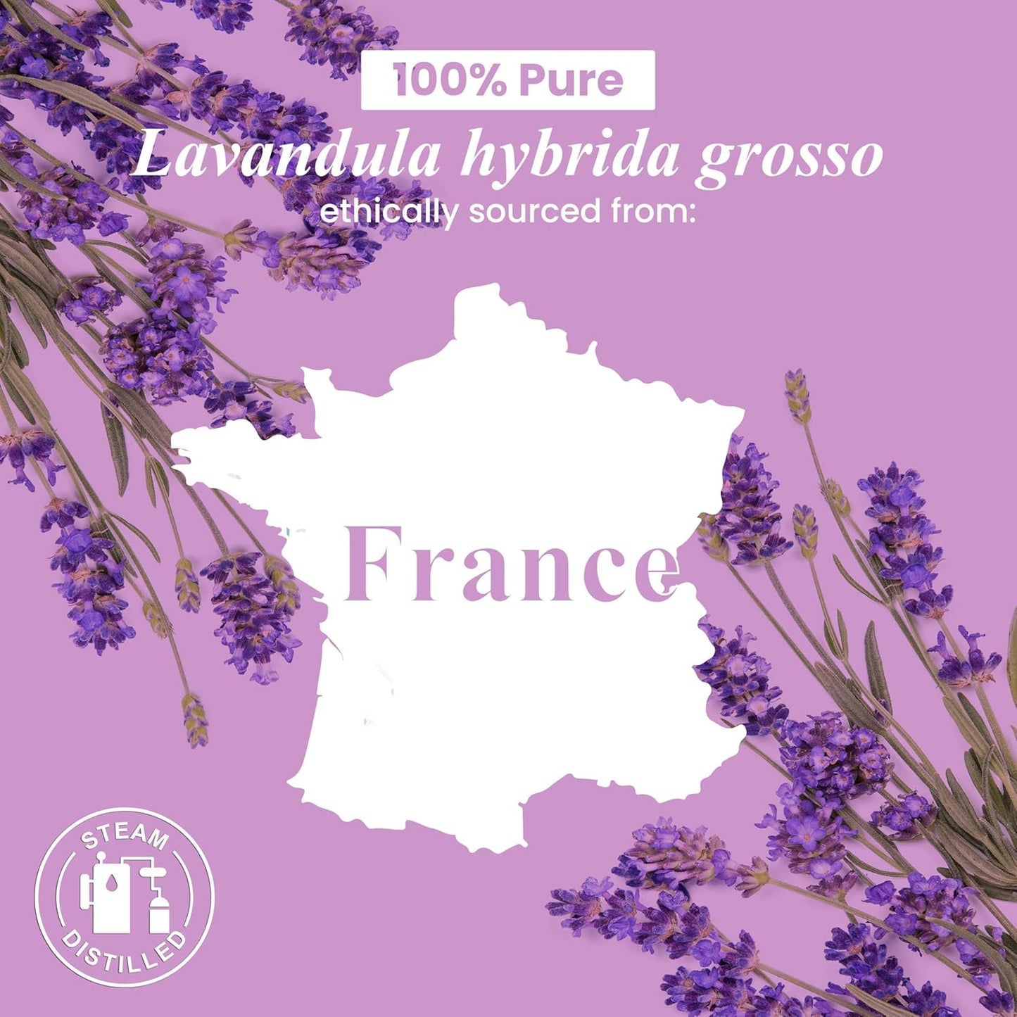 Lavender Essential Oil - Huge 4 Fl Oz - 100% Pure and Natural - Premium Grade Essential Oil for Diffuser and Aromatherapy