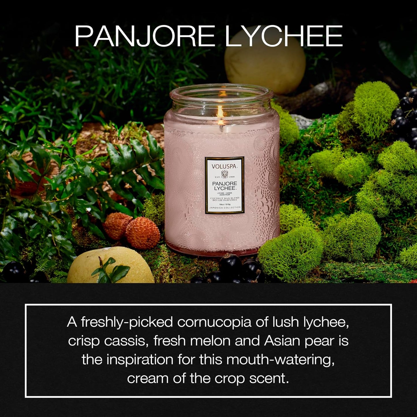 Voluspa Goji Tarocco Orange, Large Candle Jar, 18 oz, 100 Hour Burn Time, All Natural Wicks and Coconut Wax for Clean Burning, Vegan, Poured in the USA