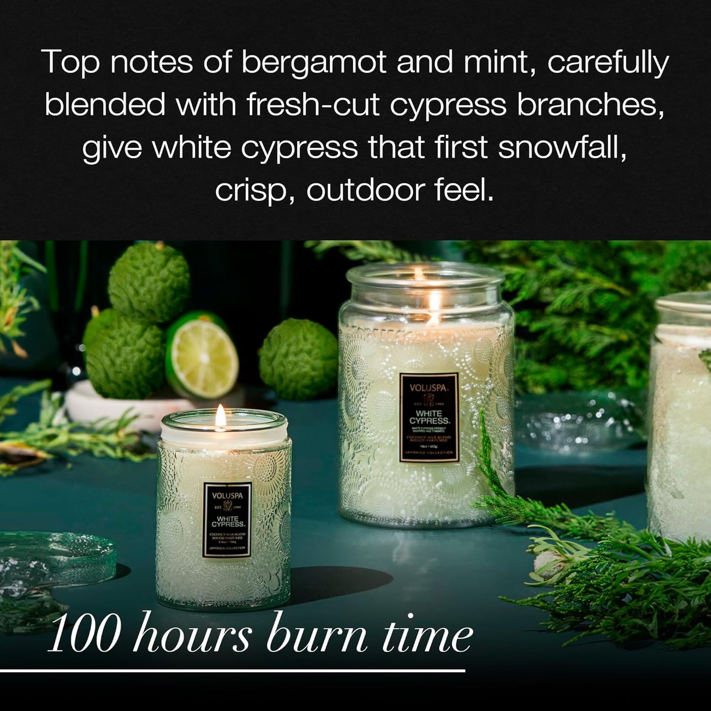 Voluspa Goji Tarocco Orange, Large Candle Jar, 18 oz, 100 Hour Burn Time, All Natural Wicks and Coconut Wax for Clean Burning, Vegan, Poured in the USA