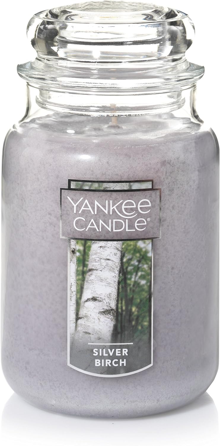 Yankee Candle | Silver Birch Scented, Classic 22oz Large Jar Single Wick Aromatherapy Candle, Over 110 Hours of Burn Time, Autumn Candle Scented for Home