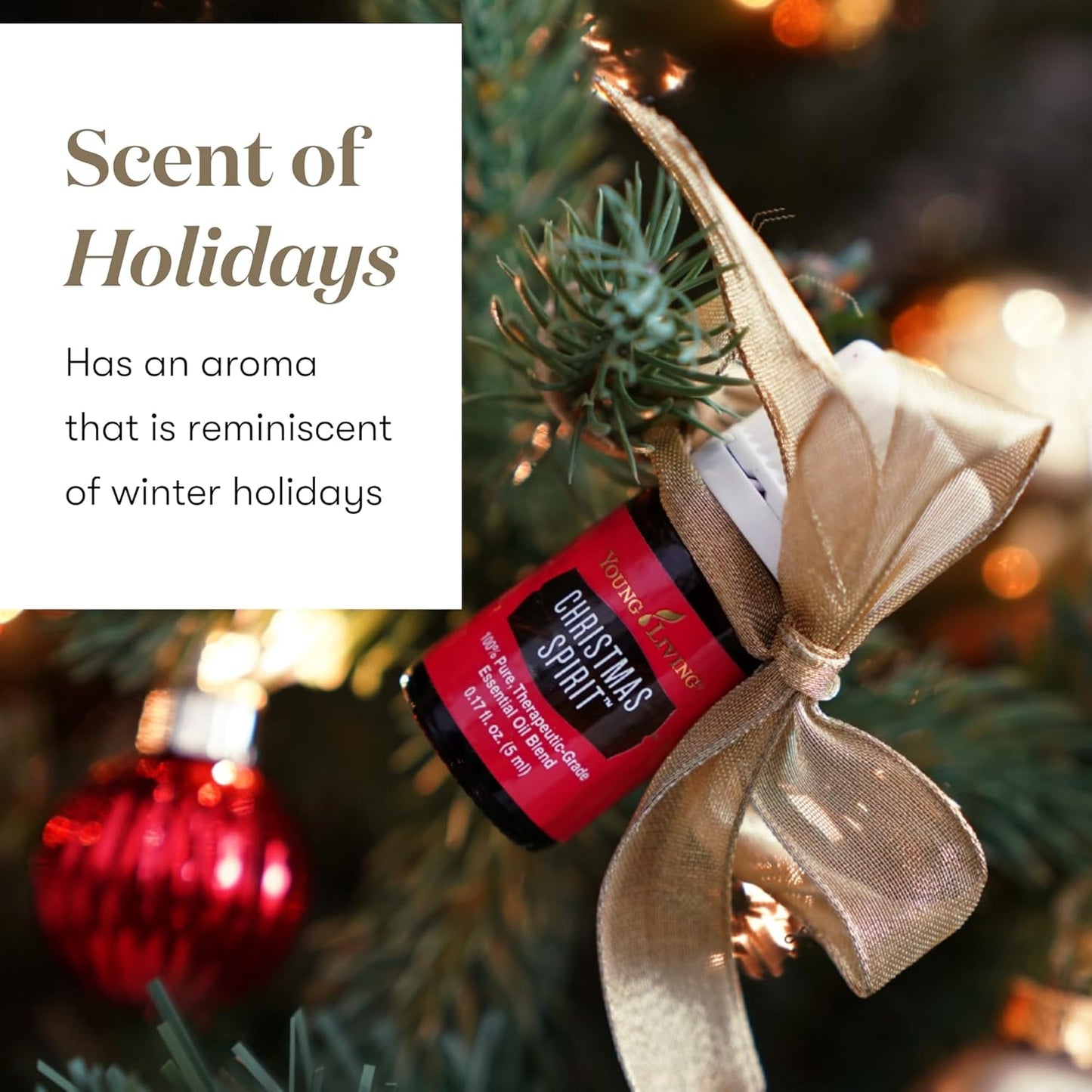 Young Living Christmas Spirit Essential Oil | Use with Essential Oil Diffuser | Add to Spray Bottle to Spritz on Christmas Tree, Clothes, or The Home | Perfect Home Essentials for The Holidays