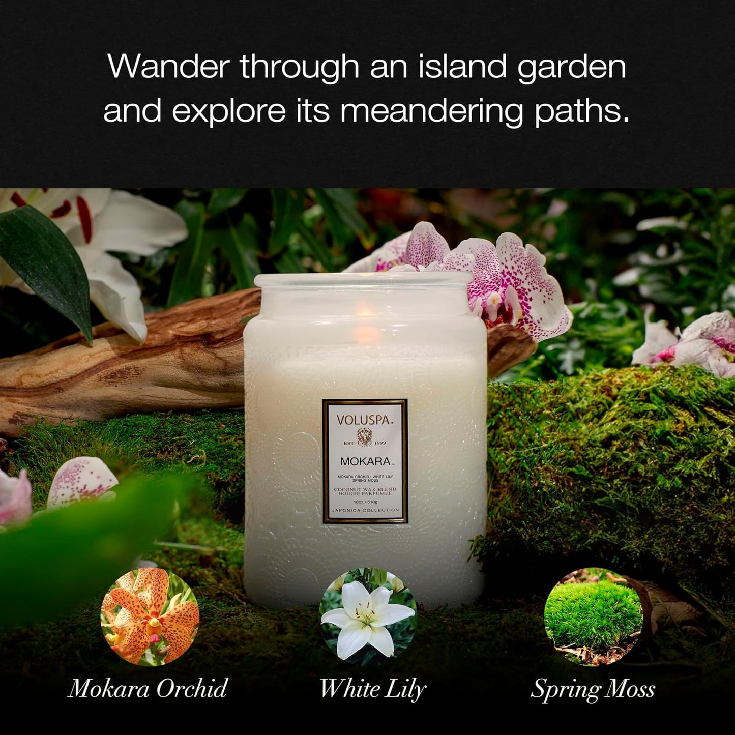 Voluspa Goji Tarocco Orange, Large Candle Jar, 18 oz, 100 Hour Burn Time, All Natural Wicks and Coconut Wax for Clean Burning, Vegan, Poured in the USA