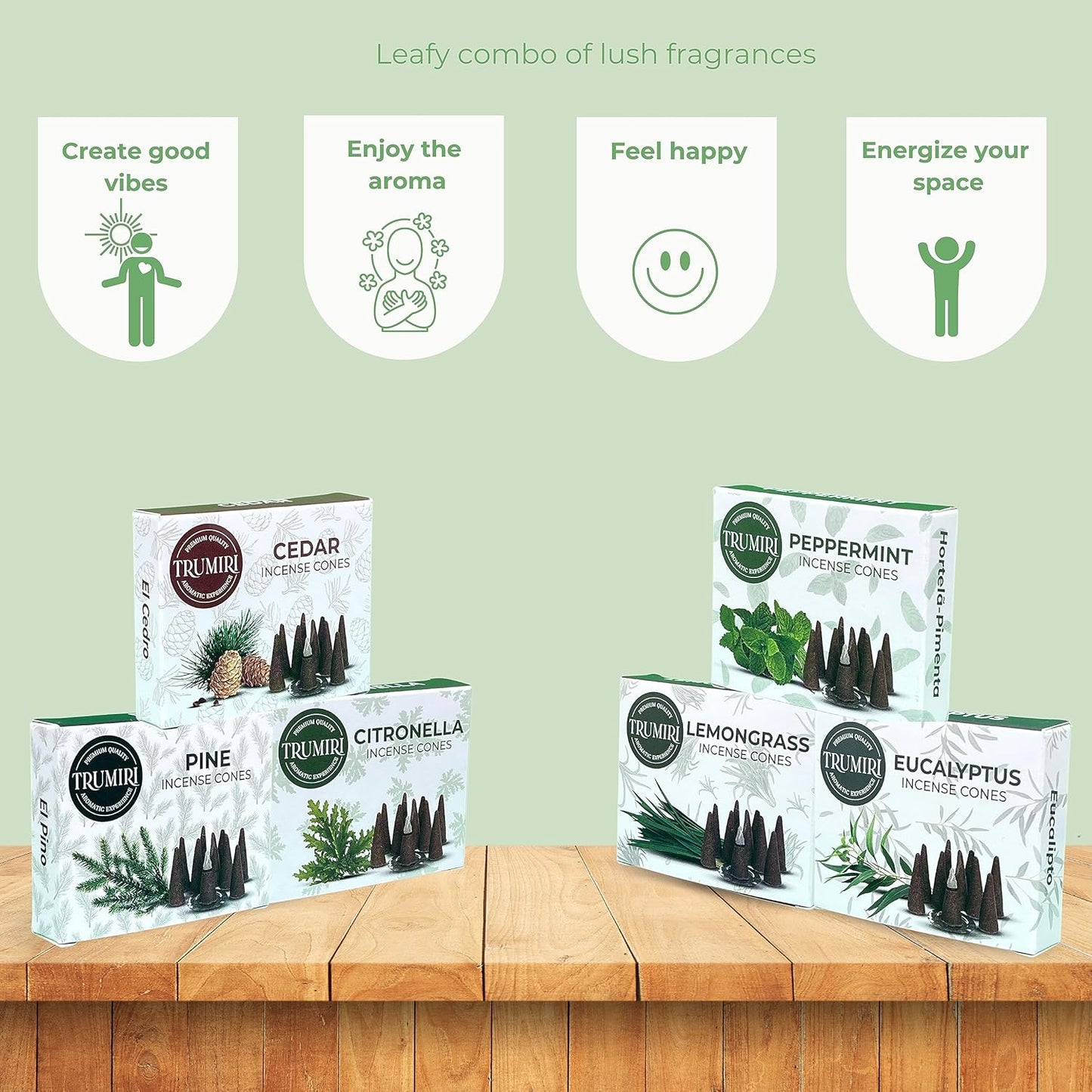 Trumiri Woody Incense Cones - Variety Pack - Total 60 Cone Incense (6 Scents x 10 Conos) - White Sage, Palo Santo, Dragons Blood, Sandalwood - Inscents-Cones Scented - Insense Cones - Incent Cone