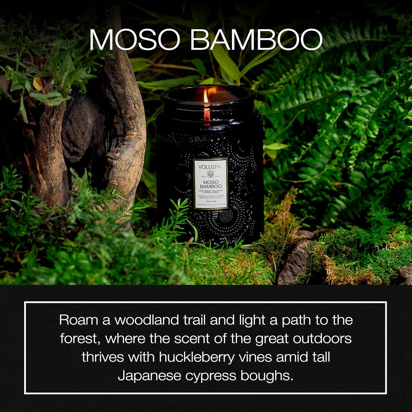 Voluspa Goji Tarocco Orange, Large Candle Jar, 18 oz, 100 Hour Burn Time, All Natural Wicks and Coconut Wax for Clean Burning, Vegan, Poured in the USA