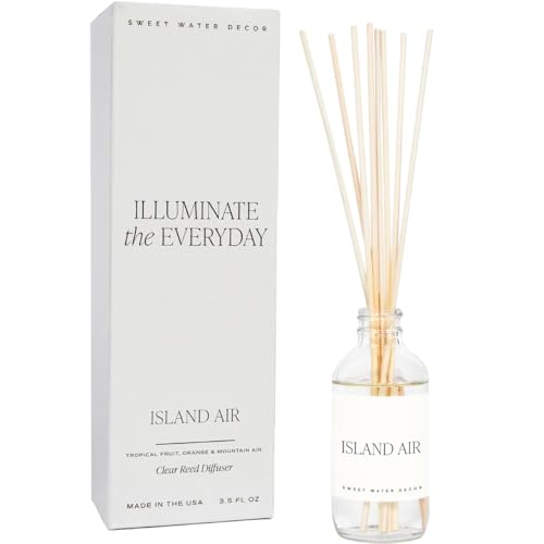 Sweet Water Decor Salt & Sea Reed Diffuser Set - Sea Salt Citrus & Musk Amber Scent Diffuser - Reed Diffusers for Home with Long Lasting Fragrance - Non-Toxic Oil Reed Diffuser - Made in the USA