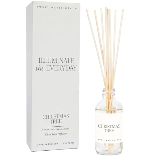 Sweet Water Decor Salt & Sea Reed Diffuser Set - Sea Salt Citrus & Musk Amber Scent Diffuser - Reed Diffusers for Home with Long Lasting Fragrance - Non-Toxic Oil Reed Diffuser - Made in the USA