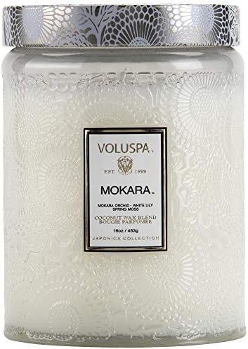 Voluspa Goji Tarocco Orange, Large Candle Jar, 18 oz, 100 Hour Burn Time, All Natural Wicks and Coconut Wax for Clean Burning, Vegan, Poured in the USA