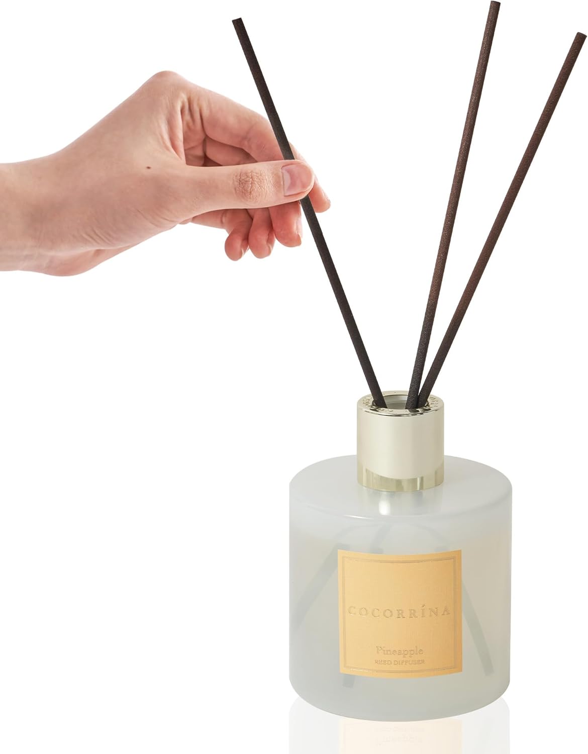 COCORRÍNA Reed Diffuser Set, Clean Linen Scented Diffuser with Sticks Home Fragrance Reed Diffuser for Bathroom Shelf Decor