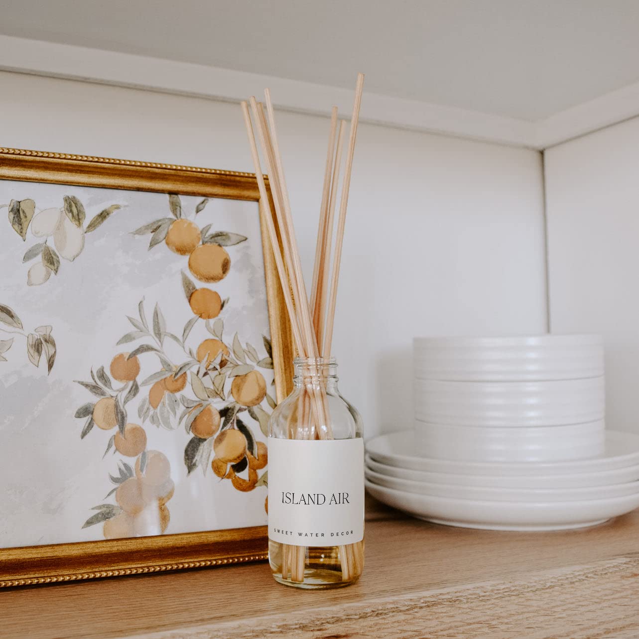 Sweet Water Decor Salt & Sea Reed Diffuser Set - Sea Salt Citrus & Musk Amber Scent Diffuser - Reed Diffusers for Home with Long Lasting Fragrance - Non-Toxic Oil Reed Diffuser - Made in the USA