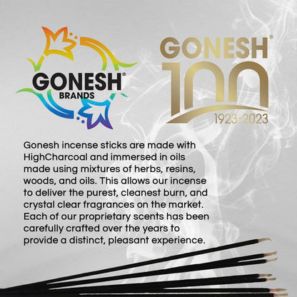 Gonesh - Classic Incense Sticks Variety Pack - Non-Toxic 10” Slow Burn Aromatic Sticks - No. 2, No. 4, No. 6., No. 7 No. 8-5 Packs of 20 Sticks