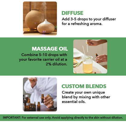 MAJESTIC PURE Tea Tree Essential Oil | 100% Pure and Natural Tea Tree Oil | Premium Grade Essential Oils for Hair Care, Home Diffusers, Skin, Aromatherapy, Massage and Humidifiers | 4 Fl Oz