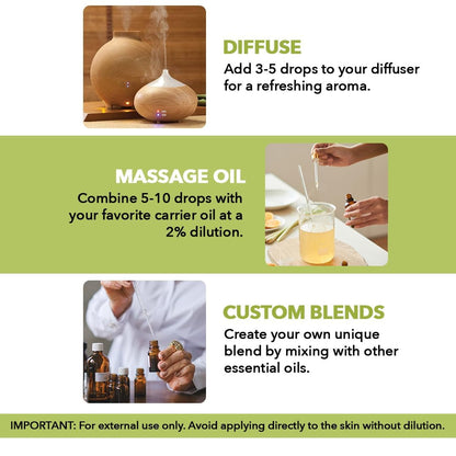 MAJESTIC PURE Lemongrass Essential Oil | 100% Pure and Natural Lemongrass Oil | Premium Grade Essential Oils for Hair Care, Home Diffusers, Skin, Aromatherapy, Massage and Humidifiers | 4 Fl Oz