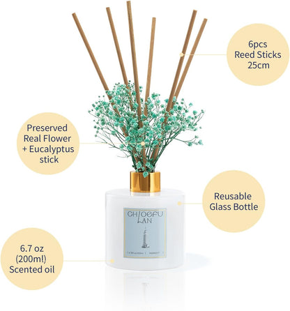 Chloefu LAN Hotel Scented Oil Diffuser Refill 7.05 oz Natural Essential Scented Oil - Best for Aromatherapy, SPA and Home, 0% Alcohol, Unique Blend to Promote Sleep & Relieve Stress