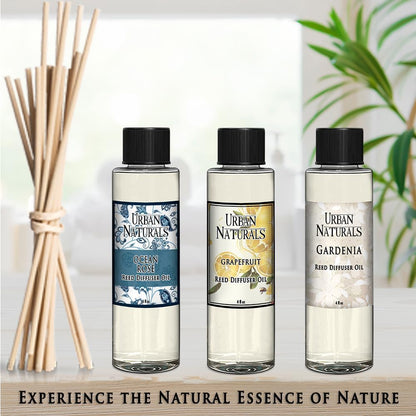 Urban Naturals Eucalyptus &amp; Sage Oil Reed Diffuser Refill | Eucalyptus, Sage, Mint, Lime and Cedarwood| Includes a Free Set of Reed Sticks! 4 oz