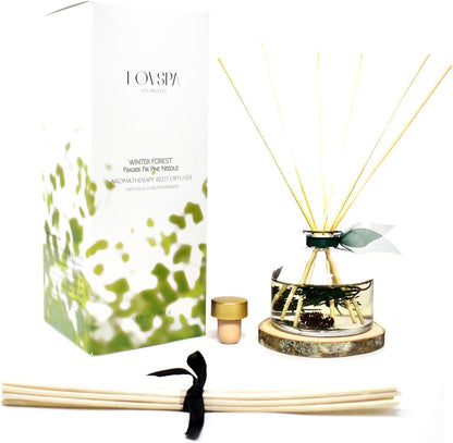 LOVSPA Eucalyptus Essential Oil Reed Diffuser Gift Set | Revive | Fresh Eucalyptus, Sage, Citrus, Bamboo & Mint | Great Aromatherapy Gift for Mom, Dad, Grandma or Aunt