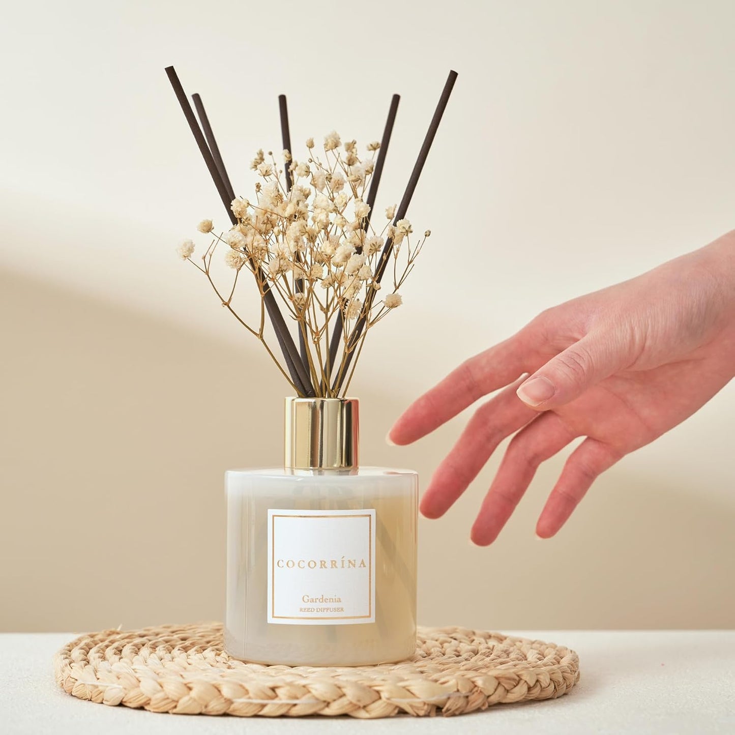 COCORRÍNA Reed Diffuser Set, Clean Linen Scented Diffuser with Sticks Home Fragrance Reed Diffuser for Bathroom Shelf Decor