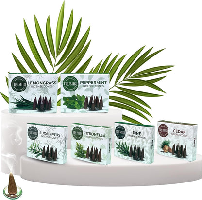 Trumiri Woody Incense Cones - Variety Pack - Total 60 Cone Incense (6 Scents x 10 Conos) - White Sage, Palo Santo, Dragons Blood, Sandalwood - Inscents-Cones Scented - Insense Cones - Incent Cone