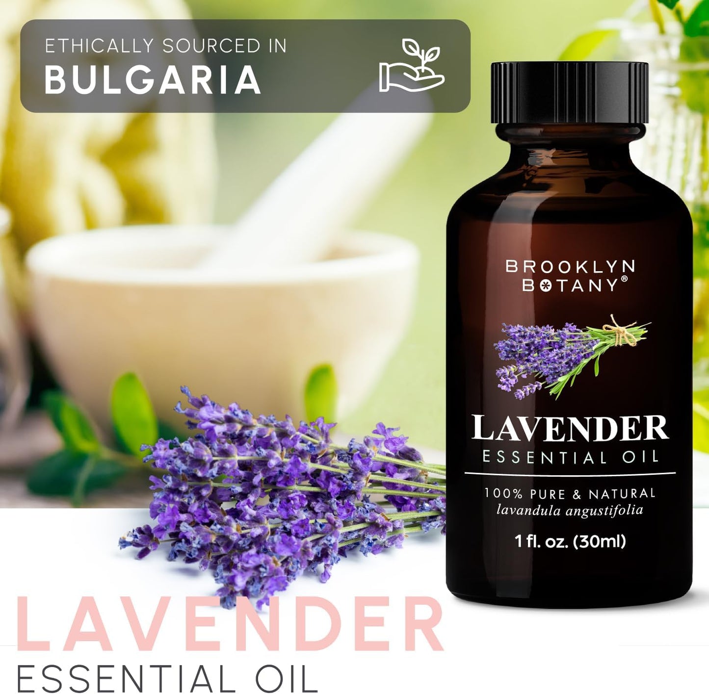 Brooklyn Botany Peppermint Essential Oil - 100% Pure and Natural - Premium Grade with Dropper - for Aromatherapy and Diffuser