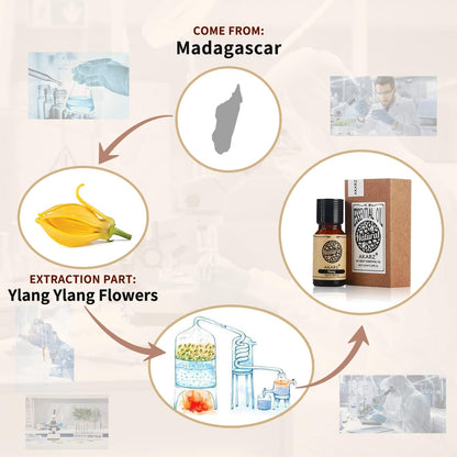 AKARZ Musk Essential Oil Natural Organic Pure Premium Musk Oil 0.34 Fl Oz (10ml)