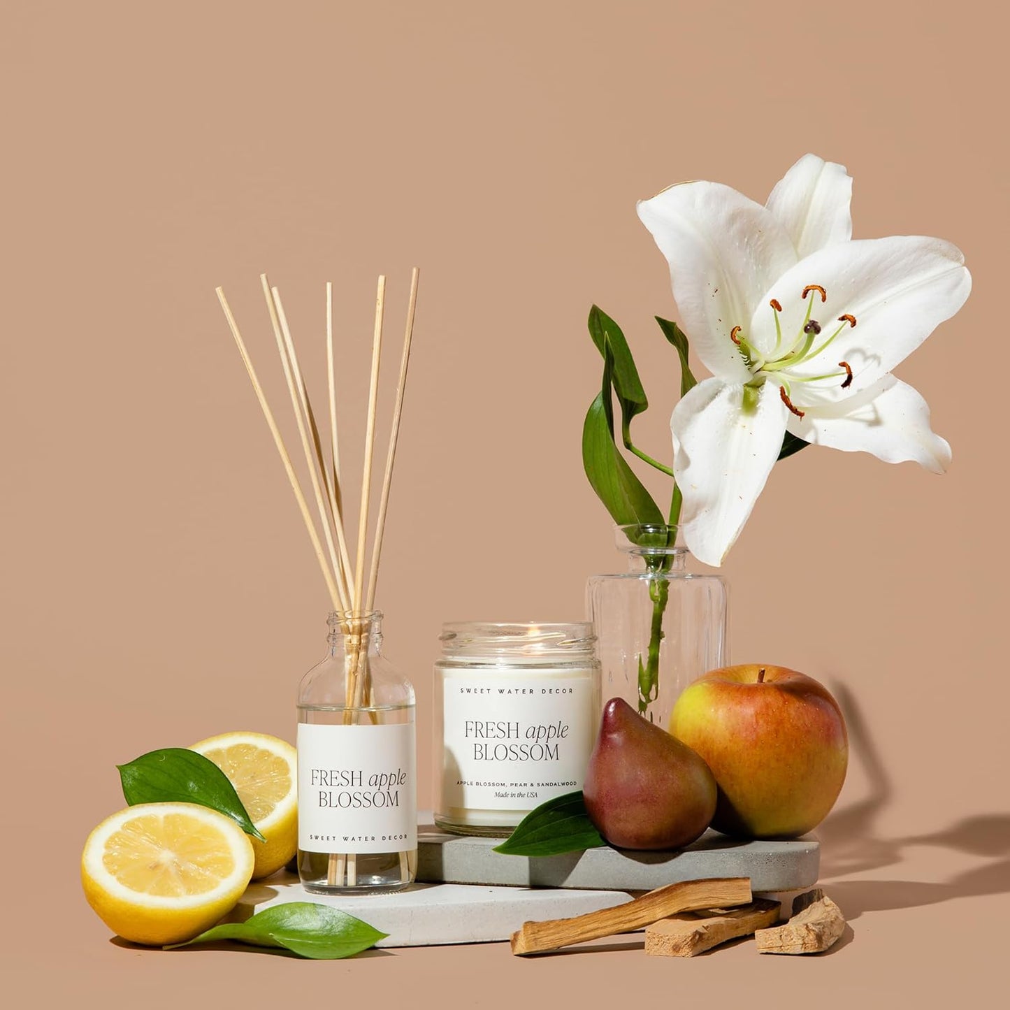 Sweet Water Decor Salt & Sea Reed Diffuser Set - Sea Salt Citrus & Musk Amber Scent Diffuser - Reed Diffusers for Home with Long Lasting Fragrance - Non-Toxic Oil Reed Diffuser - Made in the USA