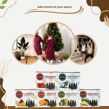 Trumiri Woody Incense Cones - Variety Pack - Total 60 Cone Incense (6 Scents x 10 Conos) - White Sage, Palo Santo, Dragons Blood, Sandalwood - Inscents-Cones Scented - Insense Cones - Incent Cone