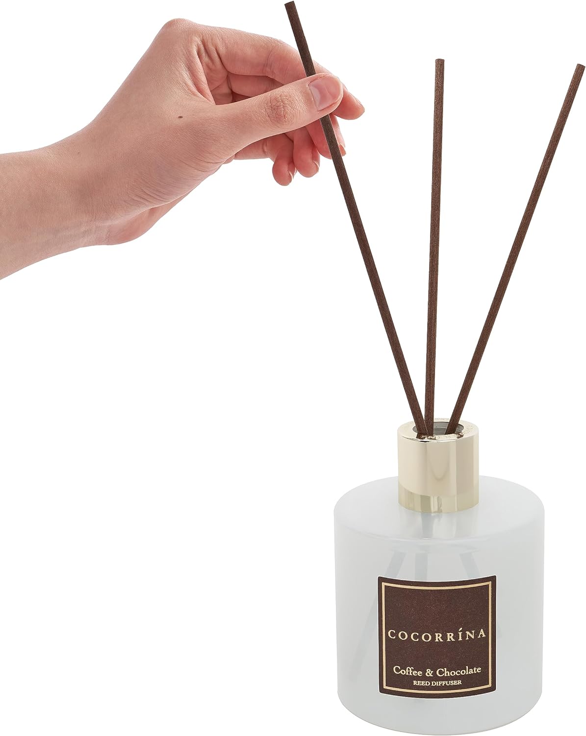 COCORRÍNA Reed Diffuser Set, Clean Linen Scented Diffuser with Sticks Home Fragrance Reed Diffuser for Bathroom Shelf Decor