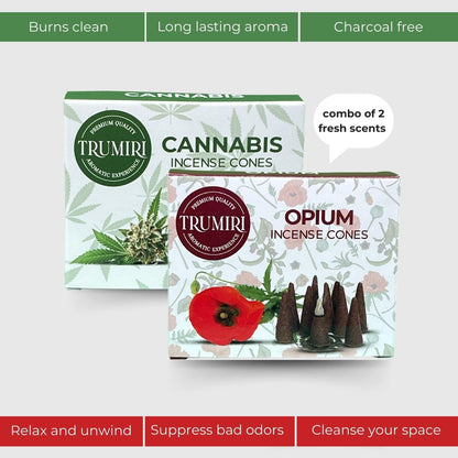 Incense Cones Combo Pack - 10 Cedar   10 Pine Scented Cones