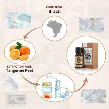 AKARZ Musk Essential Oil Natural Organic Pure Premium Musk Oil 0.34 Fl Oz (10ml)