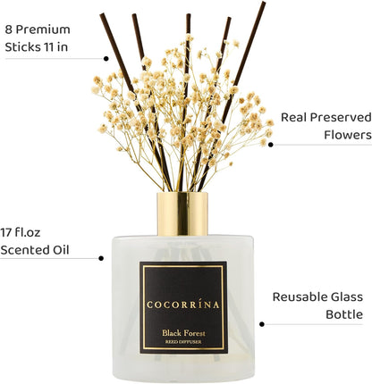 COCORRÍNA Reed Diffuser Set, Clean Linen Scented Diffuser with Sticks Home Fragrance Reed Diffuser for Bathroom Shelf Decor