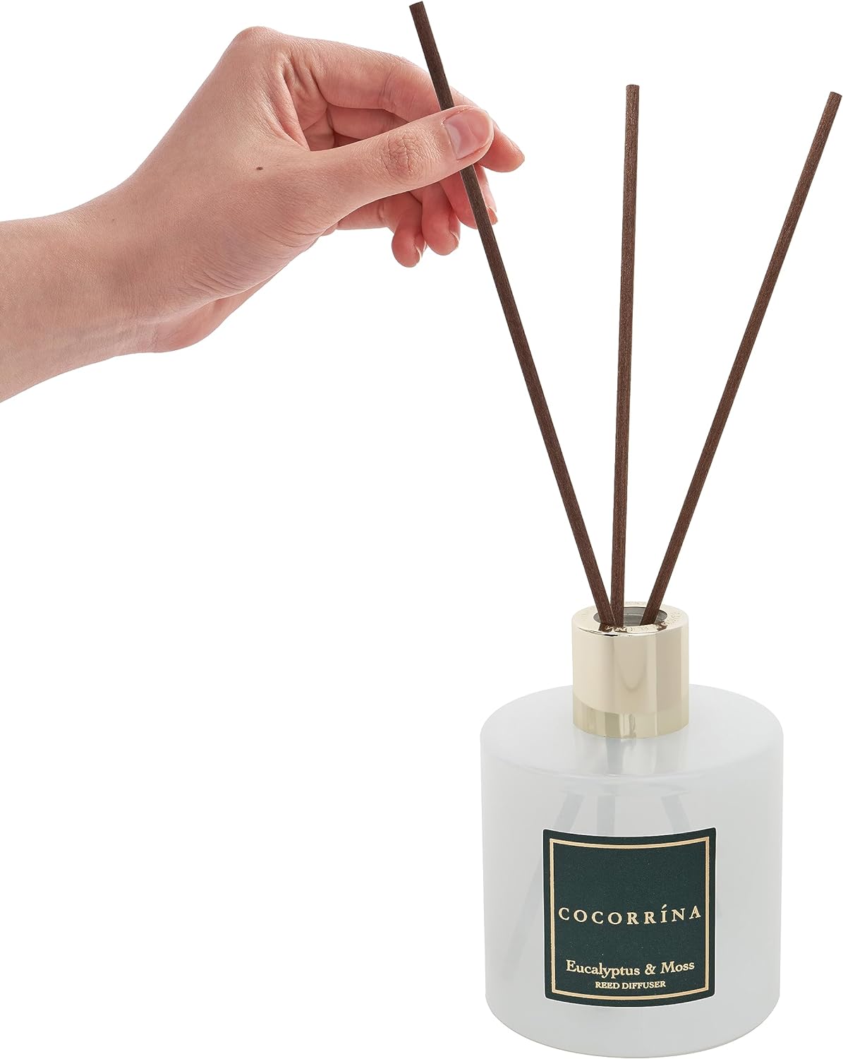 COCORRÍNA Reed Diffuser Set, Clean Linen Scented Diffuser with Sticks Home Fragrance Reed Diffuser for Bathroom Shelf Decor