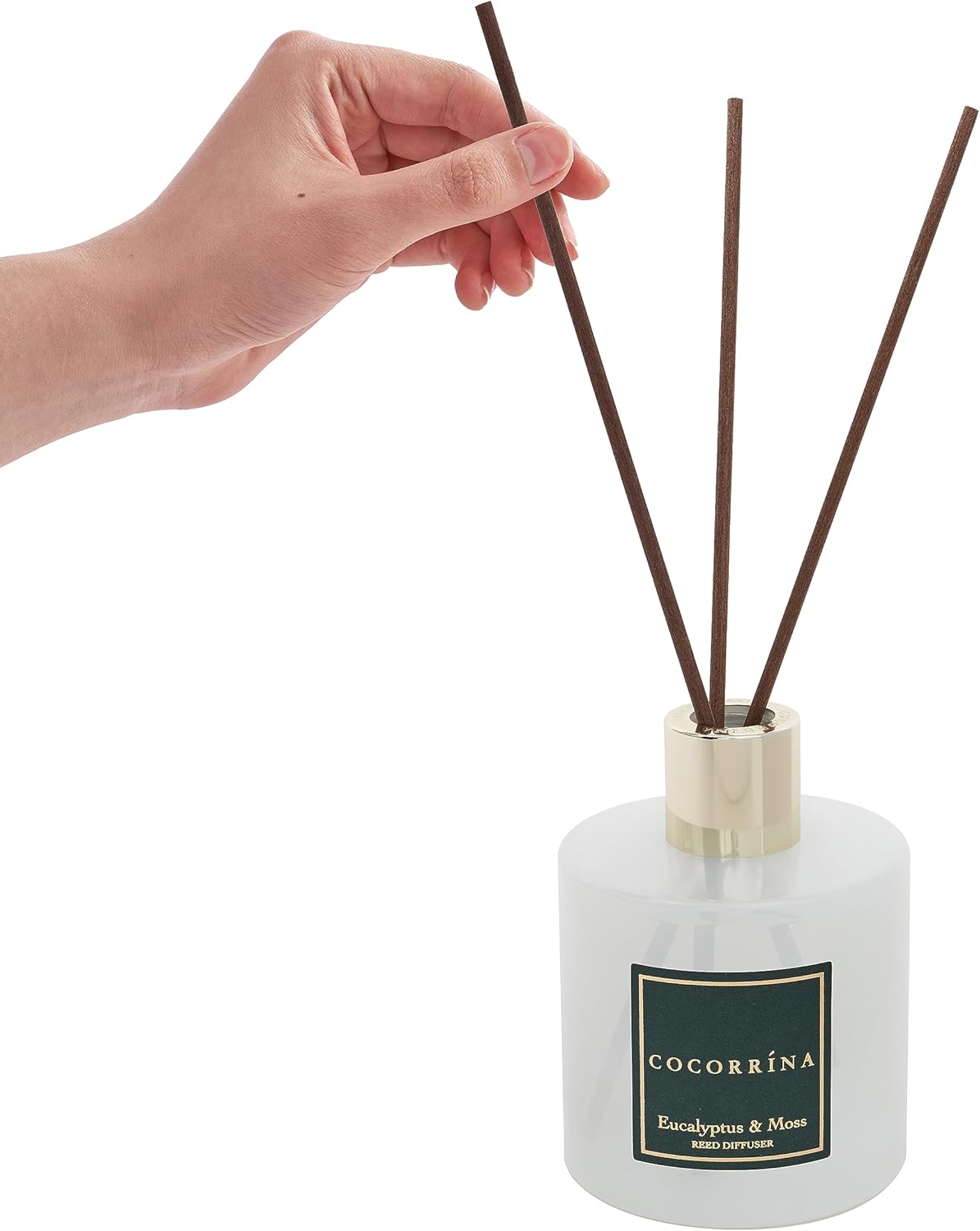 COCORRÍNA Reed Diffuser Set, 6.7 oz Clean Linen Scented Diffuser with Sticks Home Fragrance Reed Diffuser for Bathroom Shelf Decor