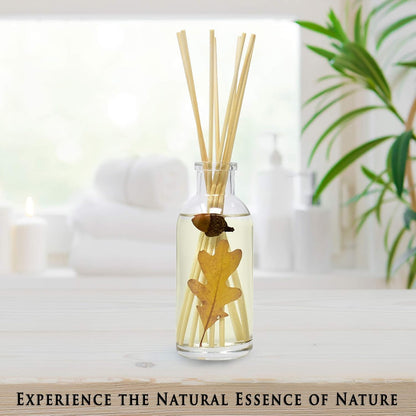 Urban Naturals Eucalyptus &amp; Sage Oil Reed Diffuser Refill | Eucalyptus, Sage, Mint, Lime and Cedarwood| Includes a Free Set of Reed Sticks! 4 oz